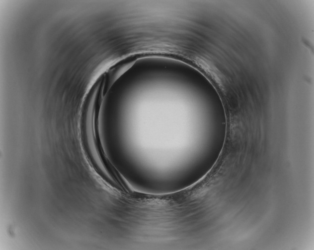 X0000098031085200803281403