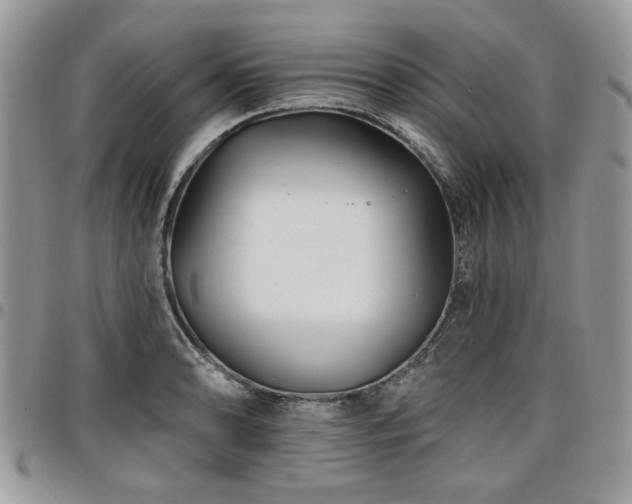 X0000098031086200803281403