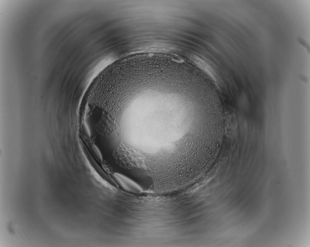 X0000098031087200803281403