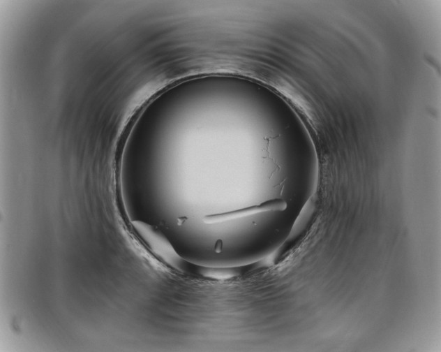 X0000098031088200803281403