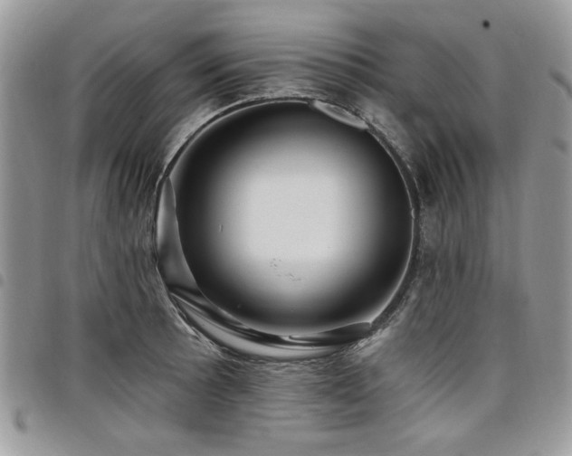 X0000098031089200803281403