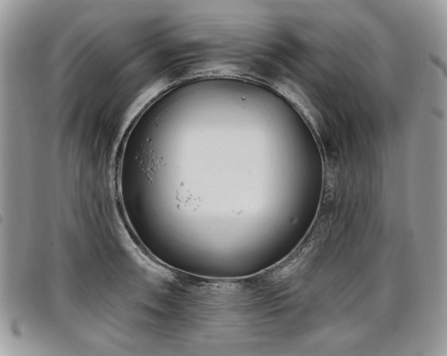 X0000098031090200803281403