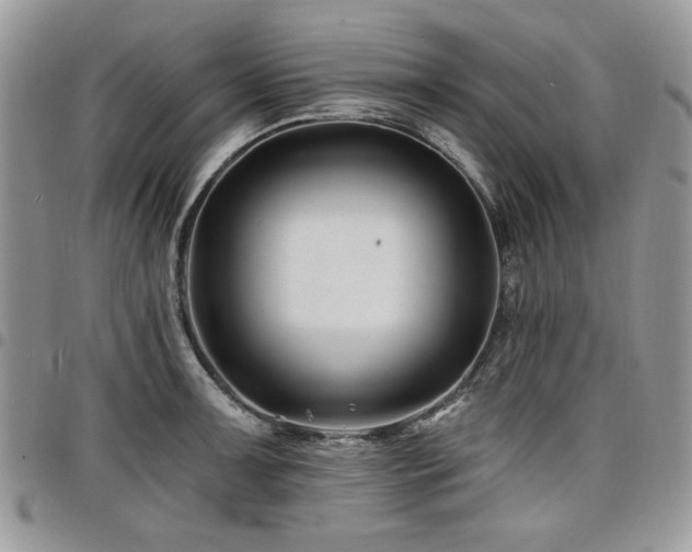 X0000098031091200803281403