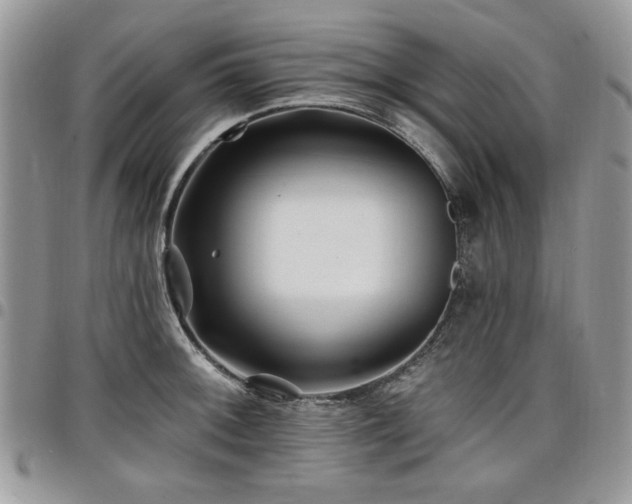 X0000098031092200803281403