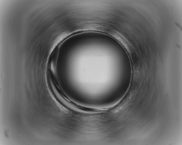 X0000098031093200803281403