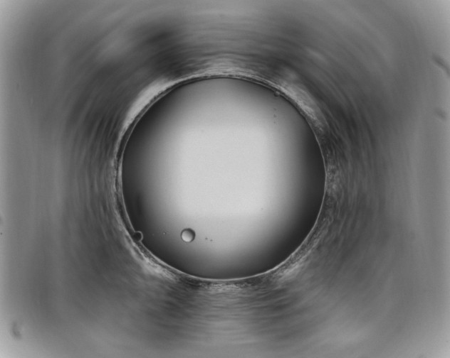 X0000098031094200803281403