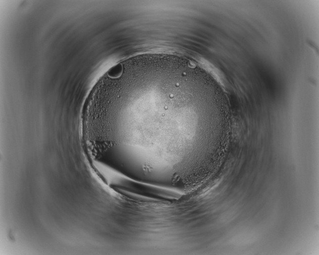 X0000098031095200803281403