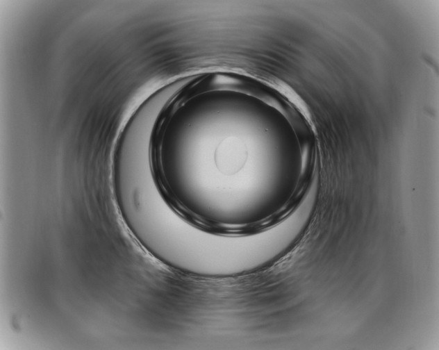 X0000098031096200803281403