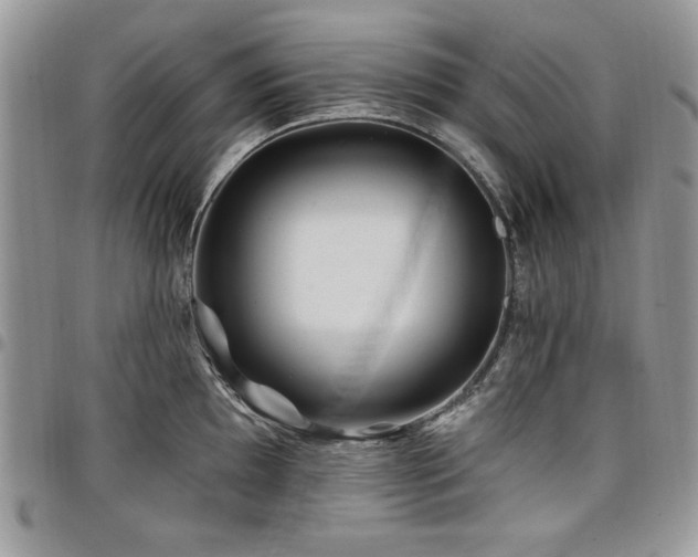 X0000098031097200803281403