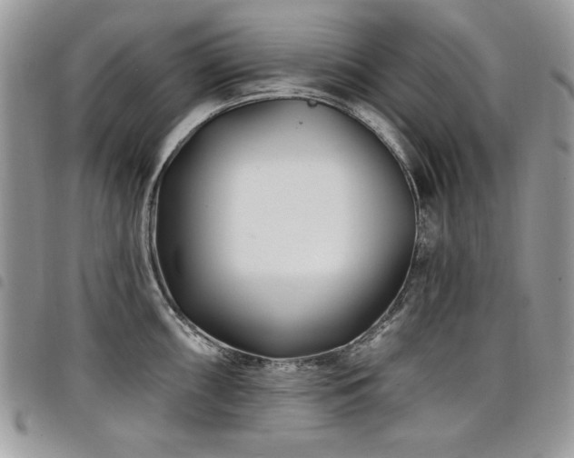 X0000098031098200803281403