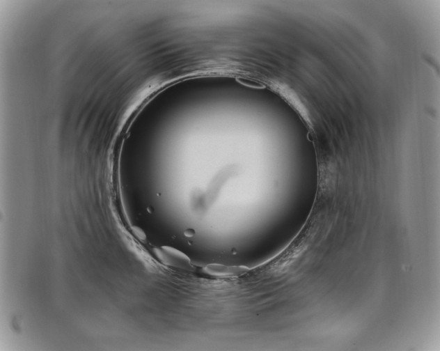 X0000098031099200803281403