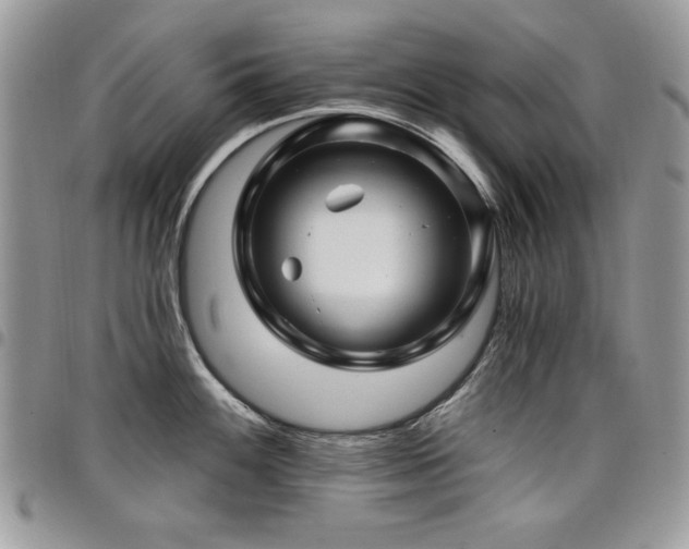 X0000098031100200803281403