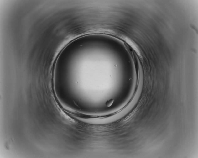 X0000098031102200803281403