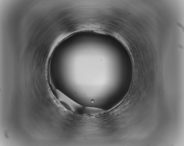 X0000098031104200803281403