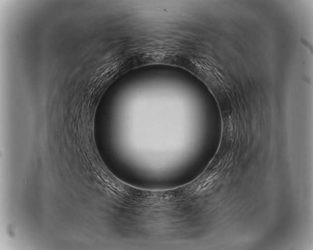 X0000098031105200803281402