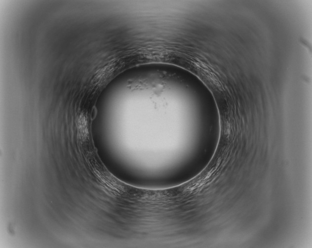 X0000098031106200803281402