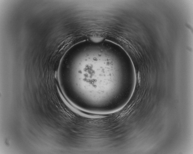 X0000098031107200803281402