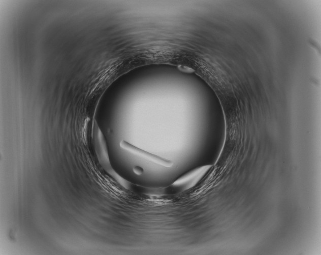 X0000098031108200803281402