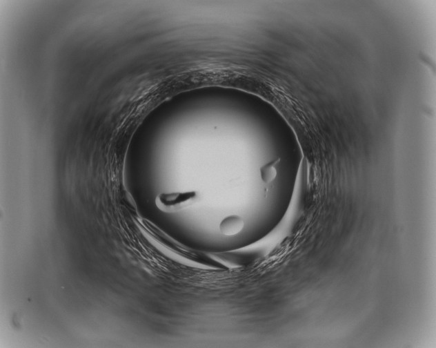 X0000098031109200803281402