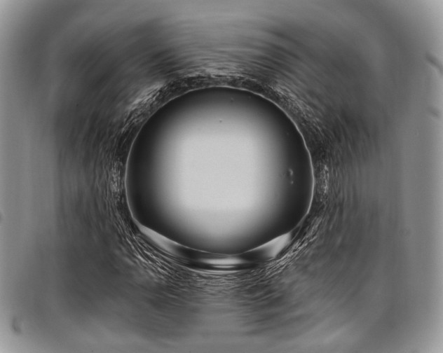 X0000098031110200803281402