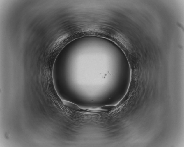 X0000098031111200803281402