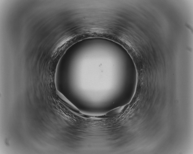 X0000098031112200803281402