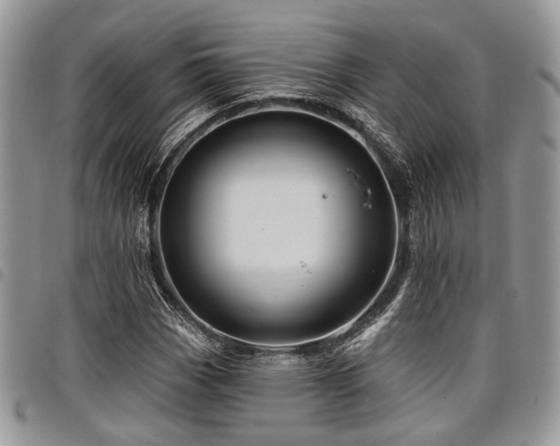 X0000098031113200803281402