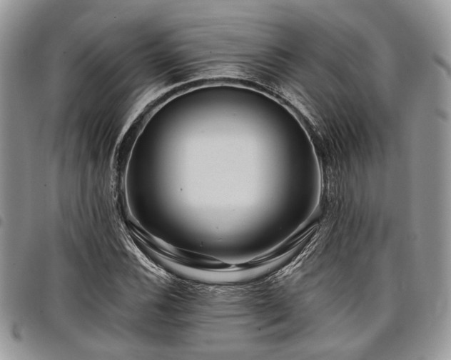 X0000098031116200803281402