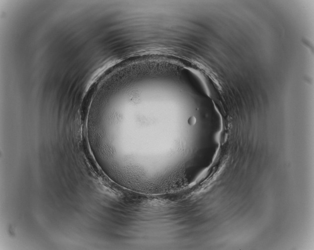 X0000098031117200803281402