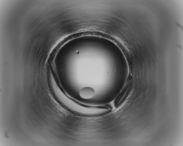 X0000098031118200803281402