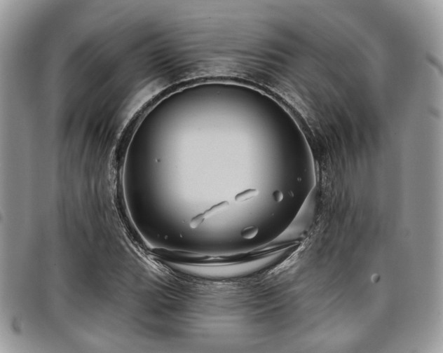 X0000098031119200803281402