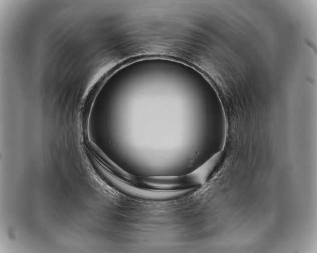 X0000098031120200803281402