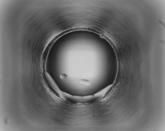 X0000098031124200803281402