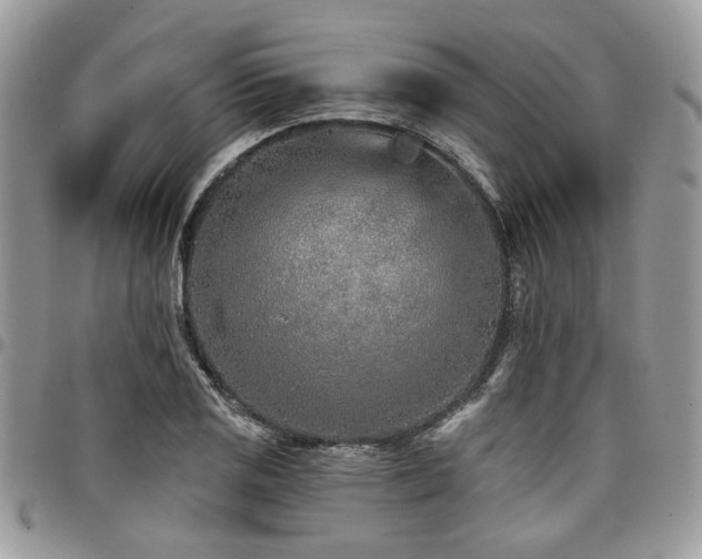 X0000098031125200803281402