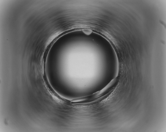 X0000098031127200803281402