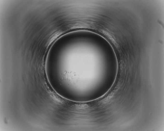 X0000098031129200803281402