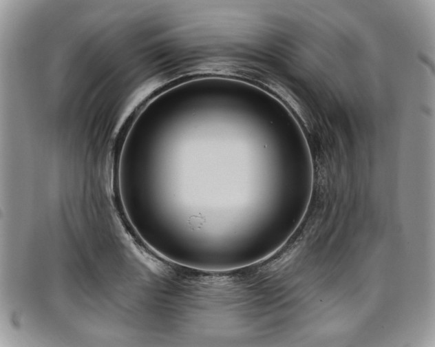 X0000098031131200803281402