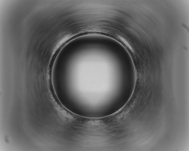 X0000098031133200803281402