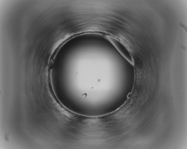 X0000098031134200803281402