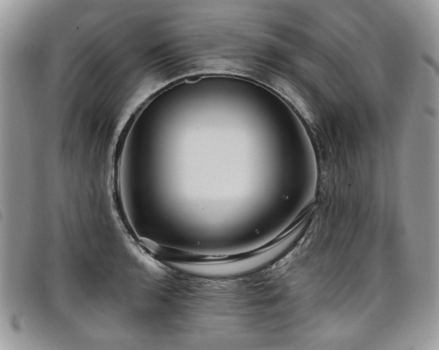 X0000098031136200803281403