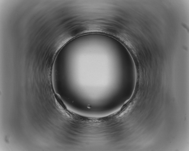 X0000098031137200803281403