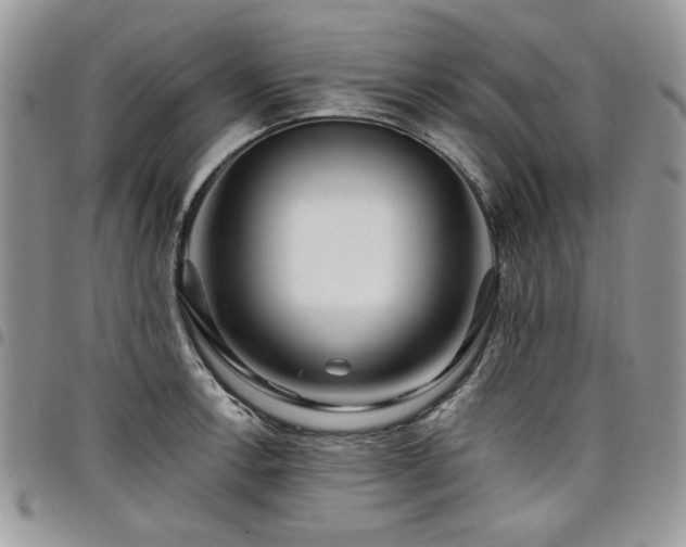 X0000098031138200803281403