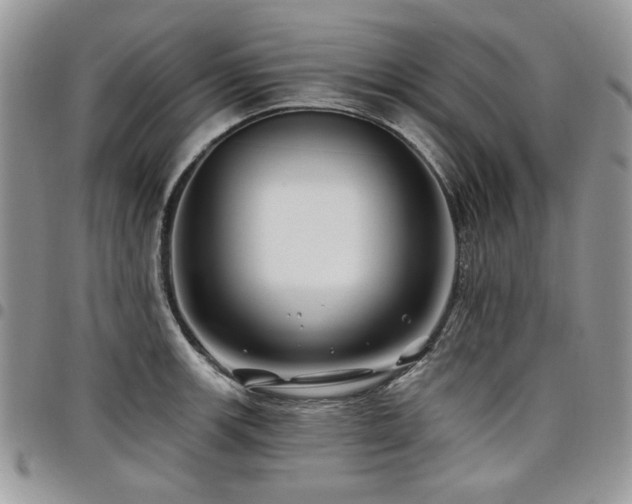 X0000098031139200803281403