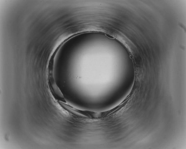 X0000098031140200803281403