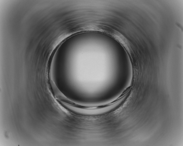 X0000098031141200803281403