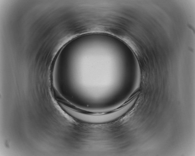 X0000098031142200803281403