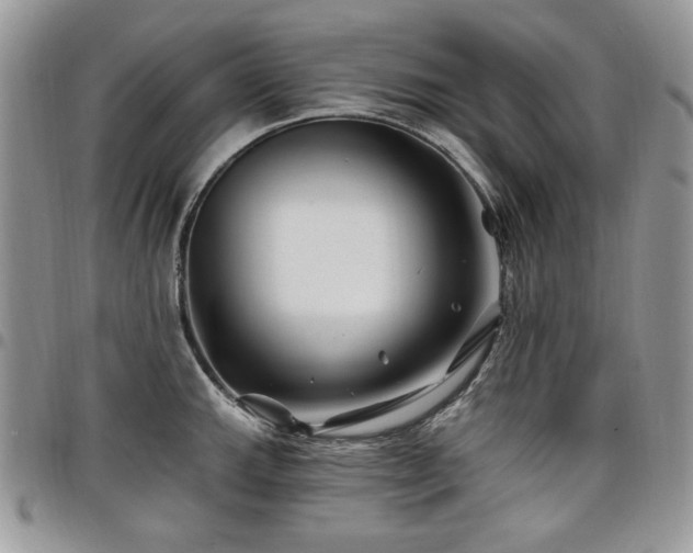 X0000098031143200803281403