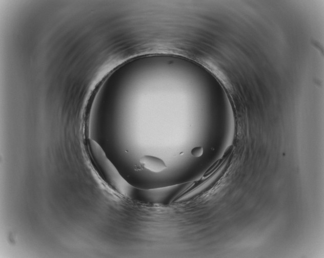 X0000098031144200803281403