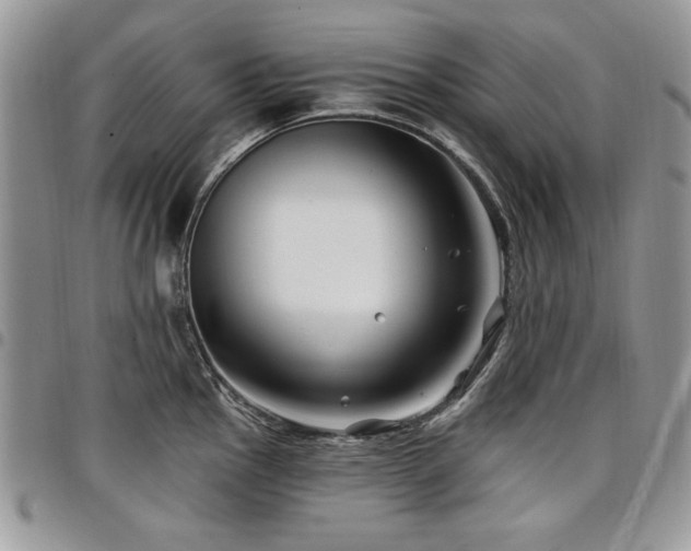 X0000098031145200803281403