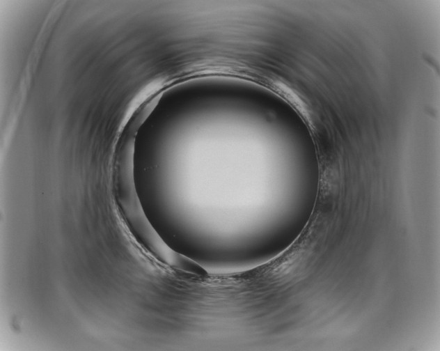 X0000098031146200803281403